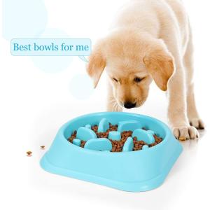Non Toxic Preventing Choking Slow Eating Pet Bowl For Dog