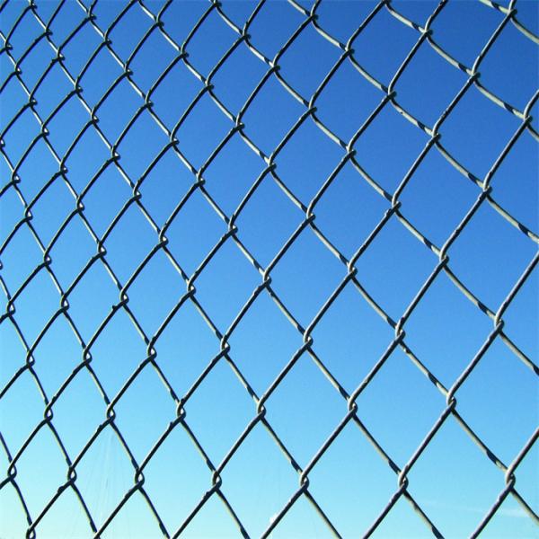 Quality 8Ft High X 25Ft Rolls PVC Coated Diamond Shape Wire Mesh Steel Galvanized Chain Link Fence wholesale