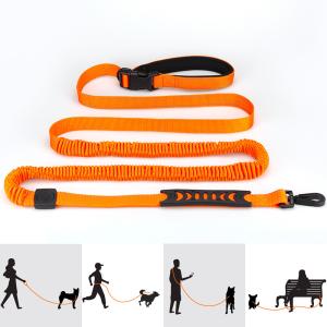 Custom Multi Functional Pet Leash Hands Free Dog Leash And Collars Set With Poop
