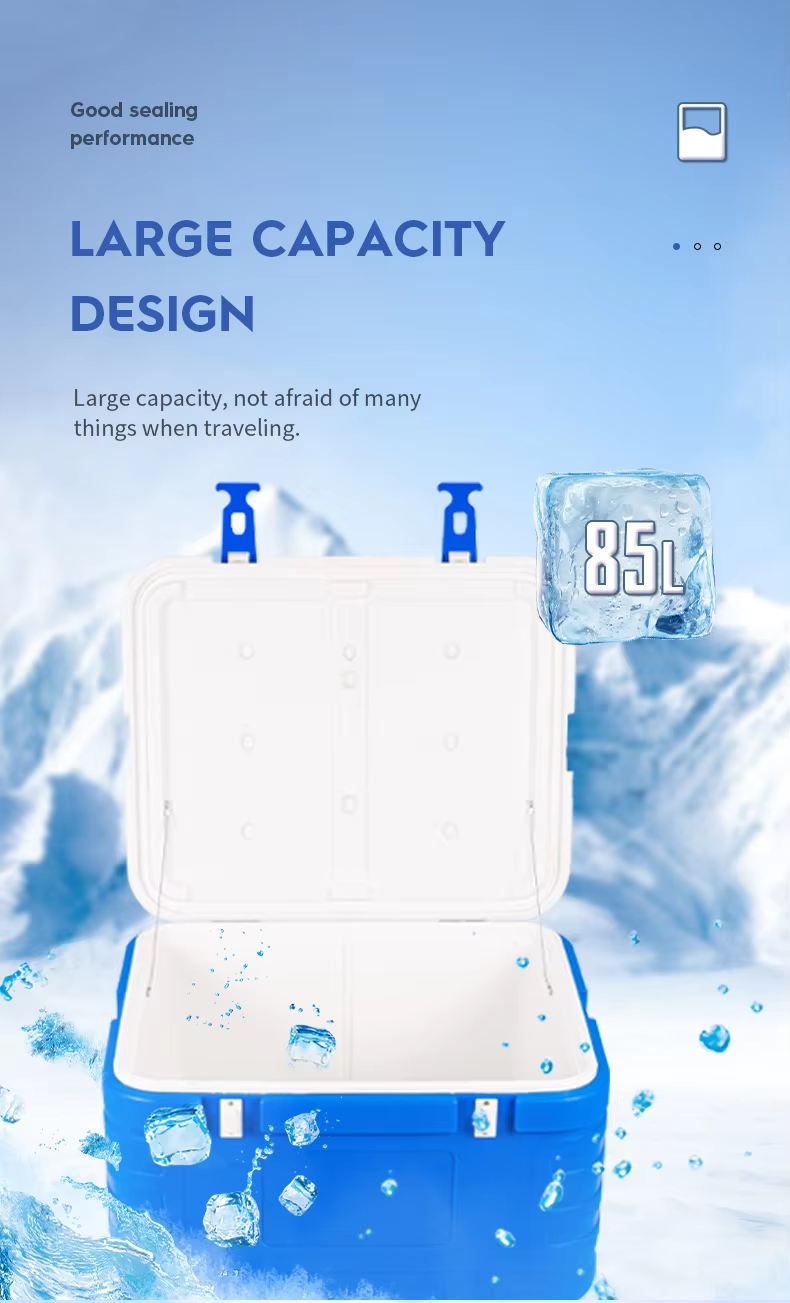 China FS-85L Model Ice Cooler Box with Carton Packing and Supply One Set Ice Pack for Outdoor Camping on sale