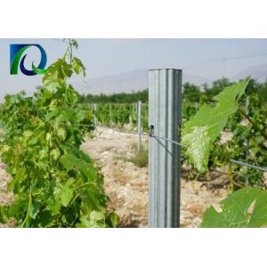 Cheap Q235 Steel Galvanized Orchard Trellis Systems For Grape / Fruits Customized Length for sale