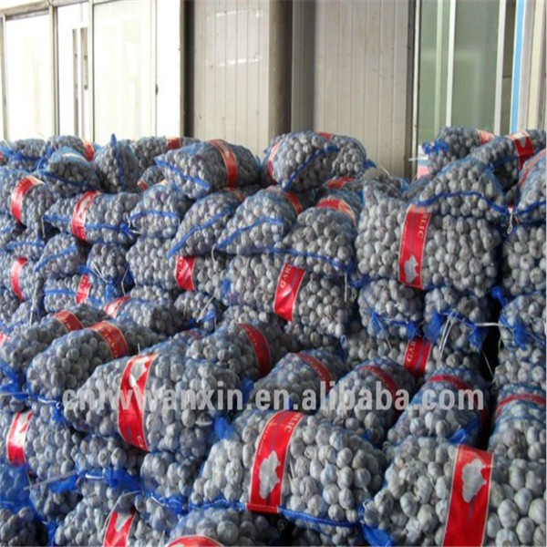 Quality GARLIC WITH MESHBAG PACKAGE wholesale