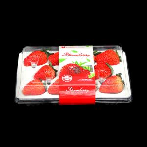 11 Compartments Clear Plastic Strawberry Containers Custom Waterproof