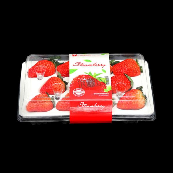 Quality 11 Compartments Clear Plastic Strawberry Containers Custom Waterproof wholesale
