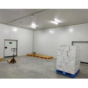 Customizable Cold Room Panel / Cold Storage Panel with Superior Waterproof and