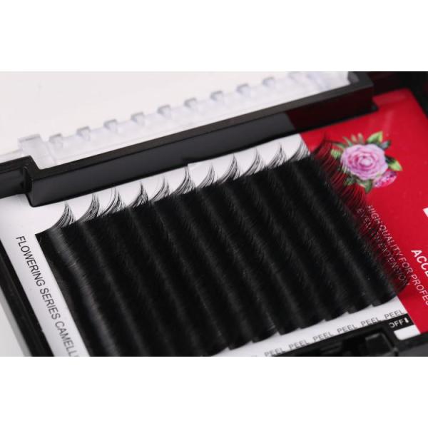 Individual 3D Eyelash Extensions Camellia Eyelash Extension Multi Lengths In One Row