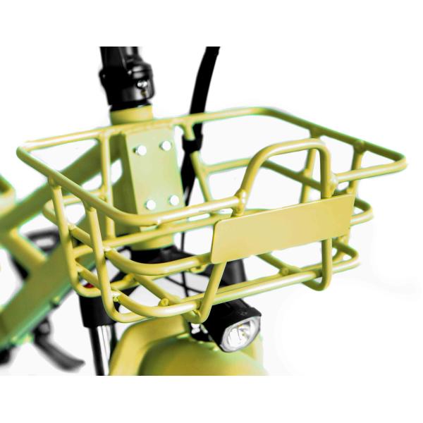 48V Disc Brake Dual Batteries Fat Snow Big Tire Electric Cargo Bicycles for Family 2