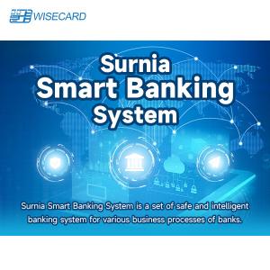 Cheap Smartbanking Web Based Structure Banking Wisecard Banking System for sale