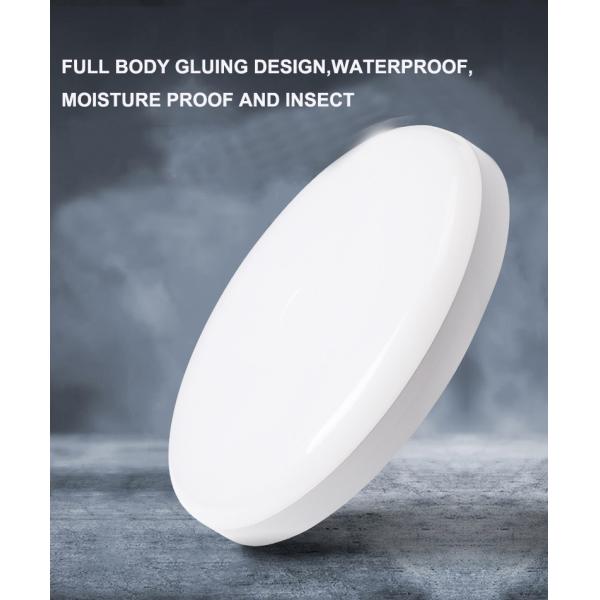 NO Dimmer 15w 20w IP65 Wall Mounted Outdoor LED Moisture-Proof Lamp for Russia Buyers