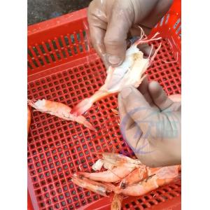 High Precision Aquatic Shrimp Processing Machine Sushi Shrimp Cutting Machine