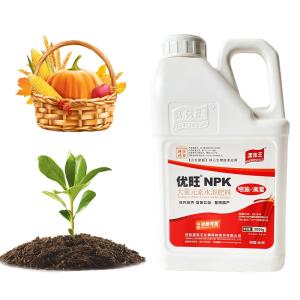 Cheap Vegetables NPK Water Soluble Fertilizer 19-19-19 Compound NPK Fertilizer For Agricultural Crops Fruits for sale