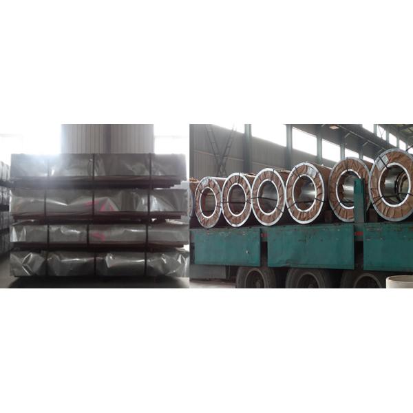 1.5mm thickness Prepainted Galvanized Steel Coil used for roller shutter door