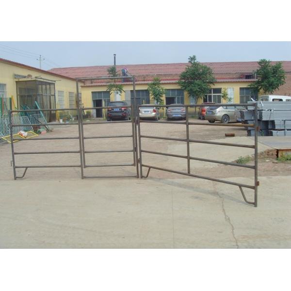 Square Style Galvanized Cattle Panels , Livestock Metal Fence Panels CE