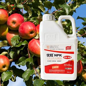 100% Organic Water Soluble Fertilizer OEM ODM 19-19-19+Te NPK Fertilizer