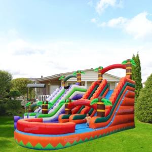 Hot Style Inflatable Water Slide with Custom Logo Printed and Max Capacity 100
