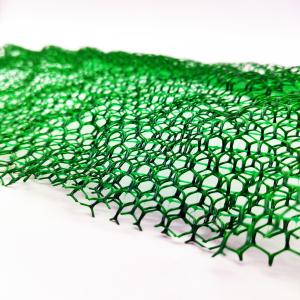 Landscape Plastic Steel Mesh Grass Reinforcement 3D Mat Geomat for Erosion