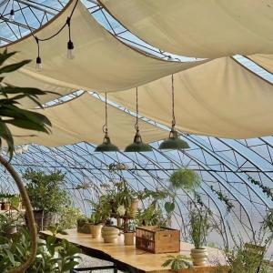 30-Day Return Refunds Get a Refund for Our Multi-Span Agriculture Tunnel