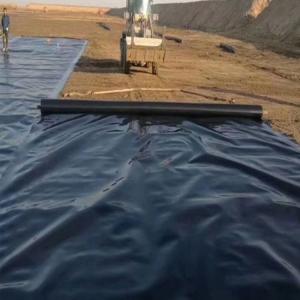 Project Solution Capability Modern 1.0mm HDPE Fish Pond Liner for Roof