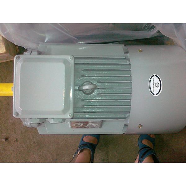 Ms Series Three Phase Asynchronous Motor 0.55kw-15kw AC Induction Electric Motor