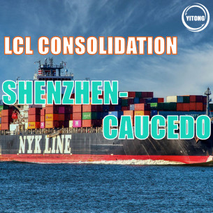 Quality Global  LCL freight shipping Service From Shenzhen to Caucedo Each Tue wholesale