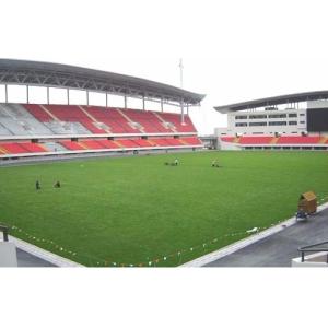 Exercise Yard Sports Artificial Grass Strong Firmness Simulated White And Green