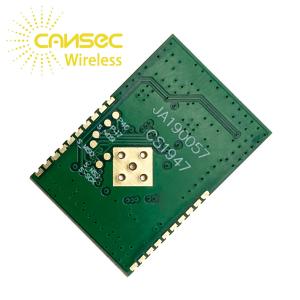 LRW2020 21dBm SX1262 LoRa Module 915Mhz Frequency