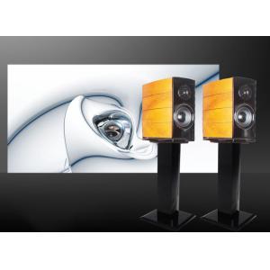 1W Distortion Factor Bluetooth Bookshelf Speakers with Battery Power Source