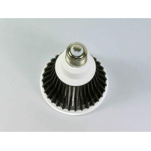 Dimmable LED PAR30 E27 Led Spot Lamps 12W 800LM COB LED view angle 24 degree