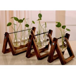 glass vase terrarium for planting deco