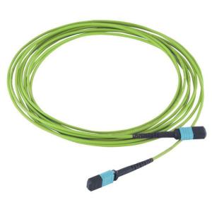 OM4 OM5 MTP MPO Trunk Cable With LSZH PVC Jacket