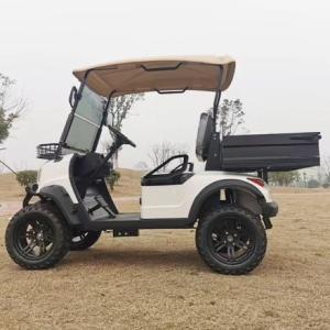 Pointed Two-Seater White Electric Golf Dump Truck Can Be Customized With Color