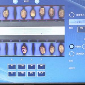 Cheap Comprehensive Size Division 2.0 Tons Per Hour 8-Lane Palm Dates Sorting Machine for sale