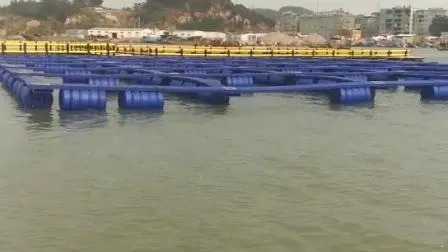 HDPE Pipe Floating Fish Farming Cage with 12 Grade Typhoon Resistance and 15