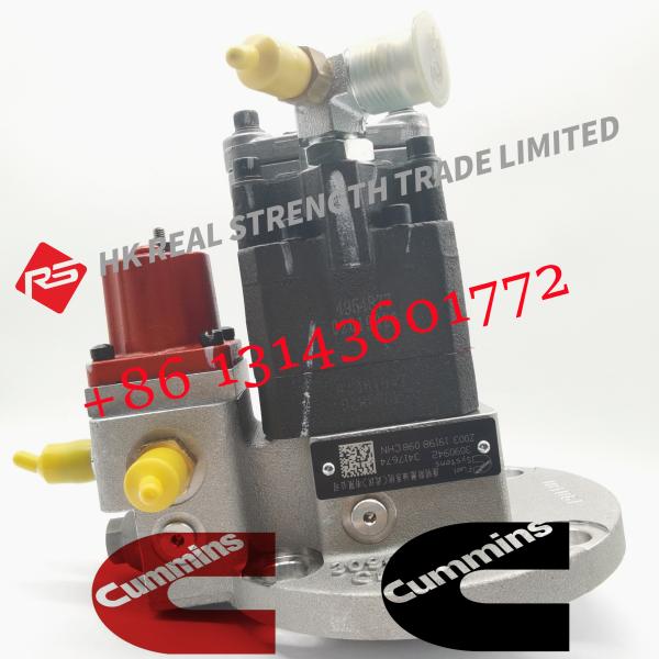 Cummins Diesel ISM11 QSM11 Engine Fuel Injection Pump 3090942 3417674 3041800