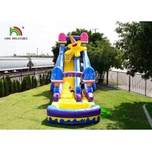 Colorful Ice Cream Inflatable Water Slide Single Lane Fire Retardant