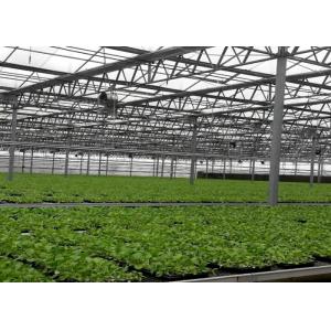 Side Height 3-7m Large Polycarbonate Greenhouse With Ventilation System
