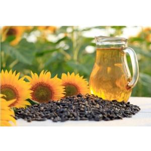 Stand Up Pouch Liquid Detergent Pouch Packing Machine 5.5kw With Servo Motor