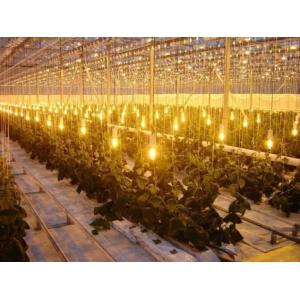 Tomato Cucumber Lettuce Growing System Gross Weight 2000.000kg Request
