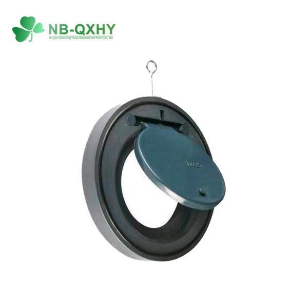 Plastic Check Valve DIN ANSI JIS Standard with Thread Connection Form and US 1