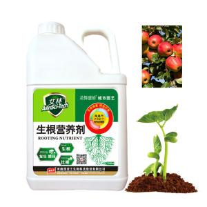 Potassium Humate 100% Soluble Plant Root Fertilizer For Agriculture