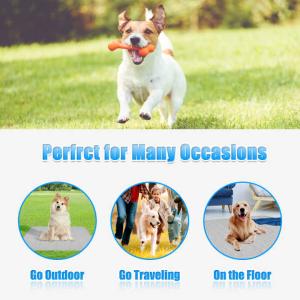 Summer Cooling Latex Pet Mat PVC and Nylon Cat and Dog Sleeping Bed with Ice