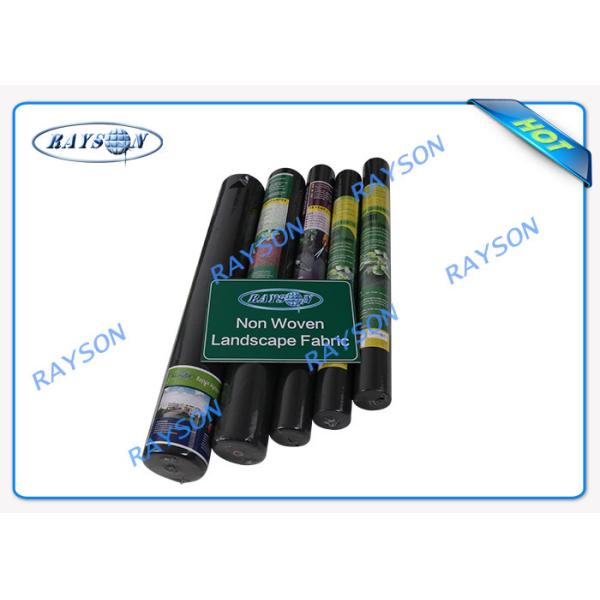 Quality White or Black Non Woven  Landscape Fabric with 3% UV for Agriculture Plant Cover wholesale