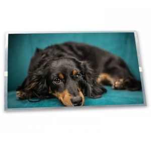 TM035PDH56 3.5 inch 320*480 projector lcd panel tft lcd display highly