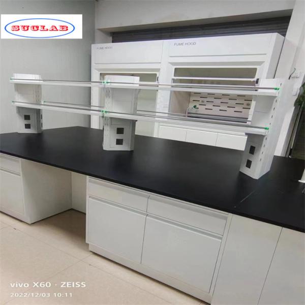 Quality Standard Blue Number of Rails Chemistry Lab Bench  Laboratory Worktable Manufacturer  for Accurate Experiments wholesale
