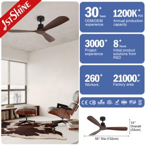 NO Private Mold High Airflow Ceiling Fan with Remote Control Wind Type Standard