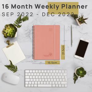 FSC Medium Academic Planner 2023 2023 With Weekly Overview On 2 Pages