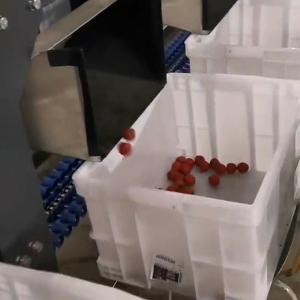 Computer Control Fruit Sorting Machine 6 Lanes Hawthorns White Grading Machine