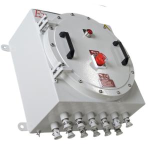 Energy- ATEX Explosion-proof Control Station Flameproof Electrical Control Boxes