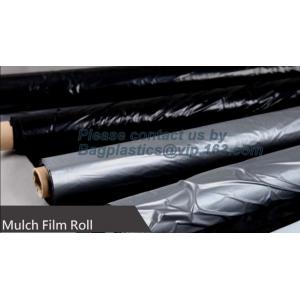 Perforated silver black mulch film for crop production,vegetable garden black /