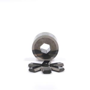 Mould Screw Tungsten Carbide First Punch Segment Hexagon Dies